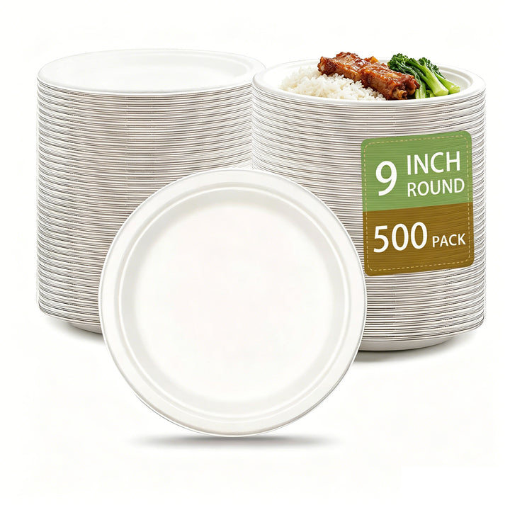 Bagasse Plates — 9 inch