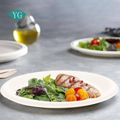 200 Pieces Plastic Dinner Round Plates, 9" Premium Hard Plastic Lunch Plates, Ideal for Wedding and Party (White-200, 9 inch)