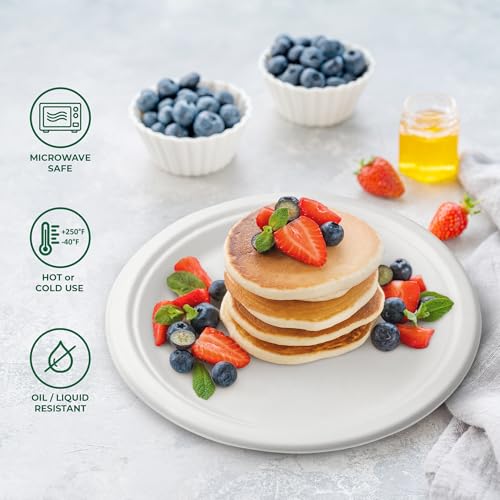 Bagasse Plates — 9 inch