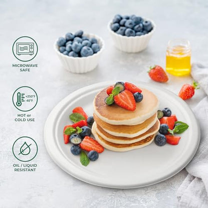 Bagasse Plates — 9 inch