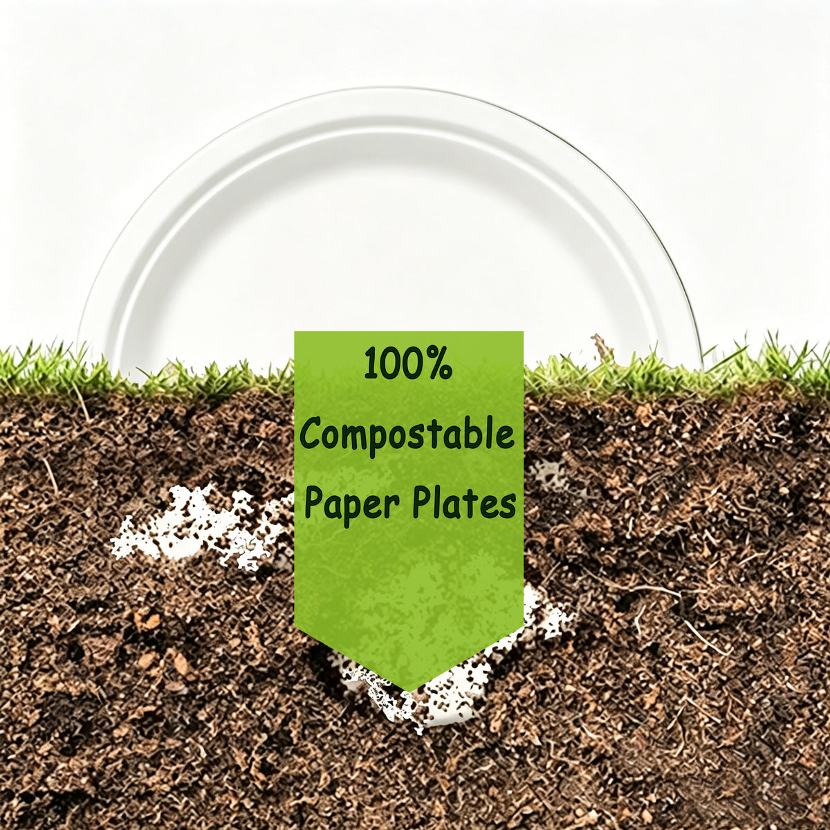 Bagasse Plates — 9 inch