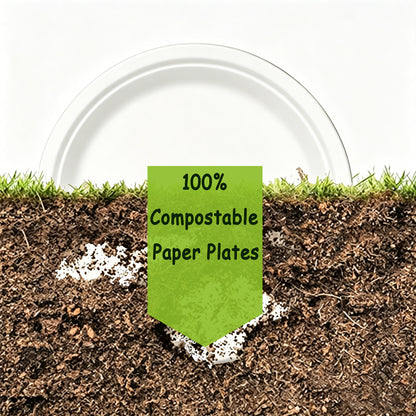 Bagasse Plates — 9 inch