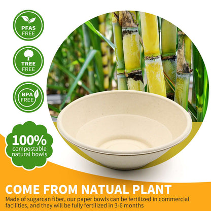 Bagasse Salad Bowls